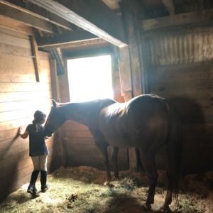 Meet your Posher, Barbara